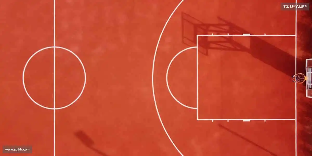 为什么选择我们